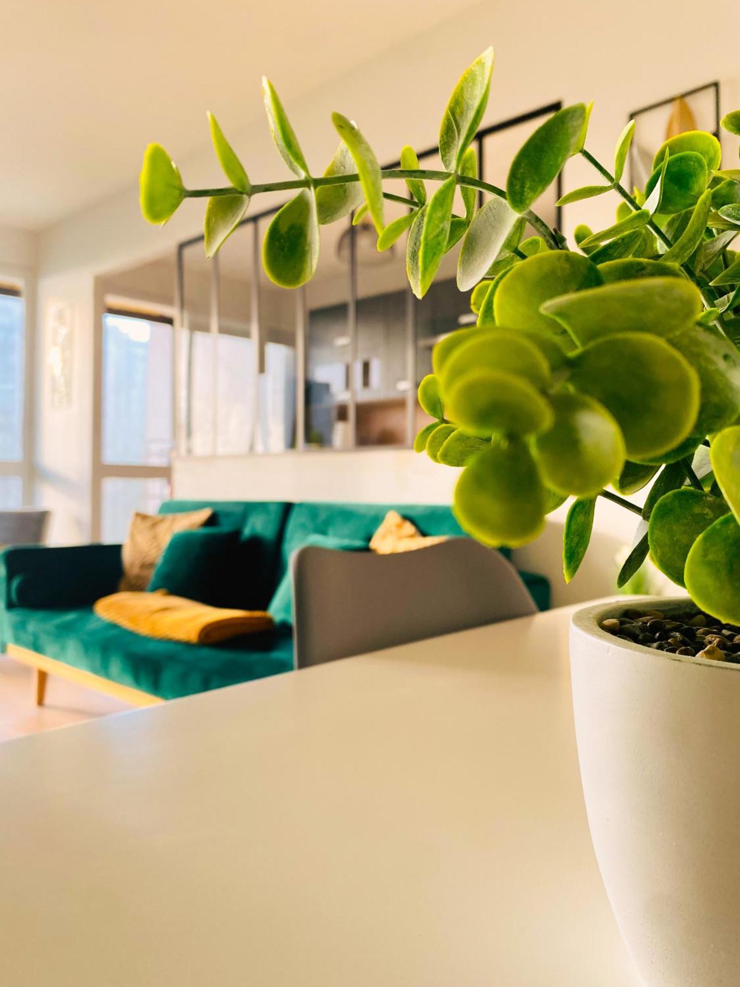 Spacieux Appartement Lumineux Brest Exteriör bild